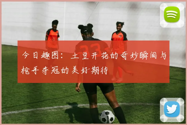 今日趣图：土豆开花的奇妙瞬间与枪手夺冠的美好期待