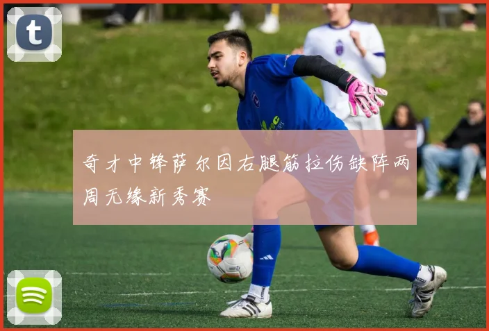 奇才中锋萨尔因右腿筋拉伤缺阵两周无缘新秀赛