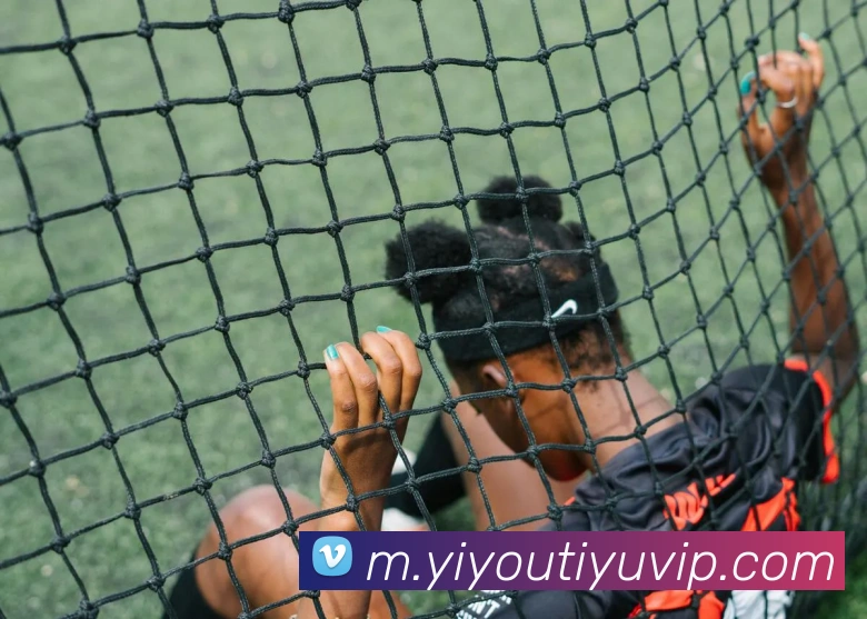 易游体育平台生态图