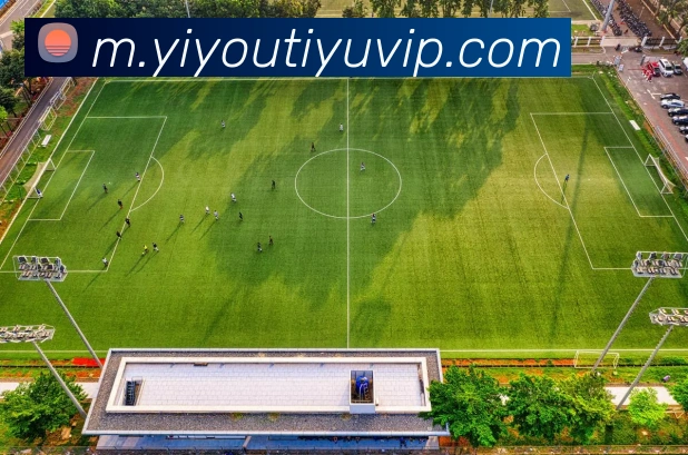 数据防护可视化